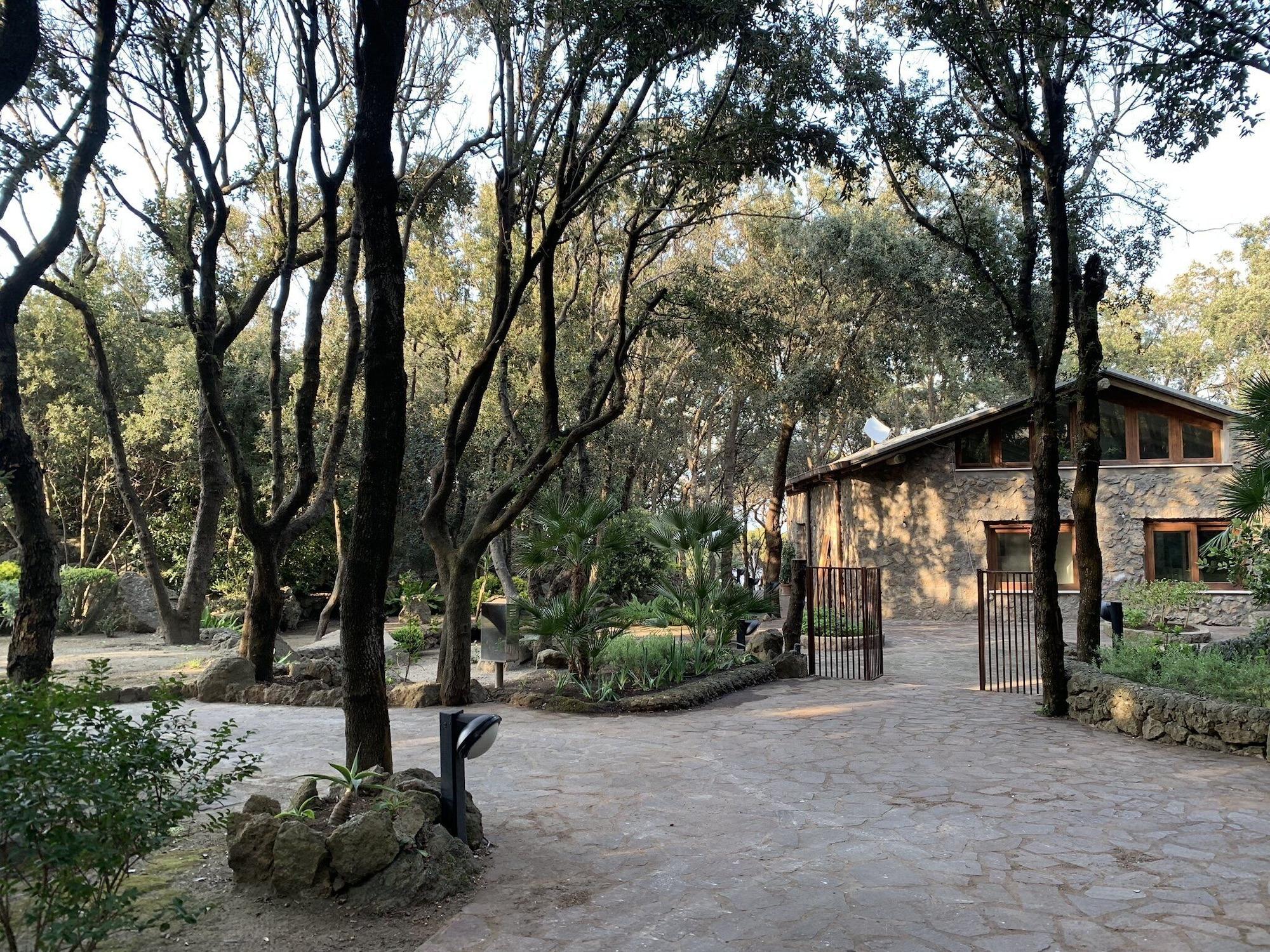 Mezzatorre Hotel & Thermal Spa Forio  Bagian luar foto